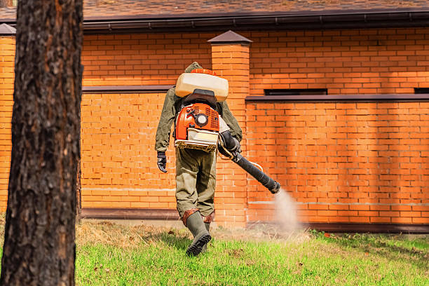 Bed Bug Clearance Verification and Documentation in Succasunna